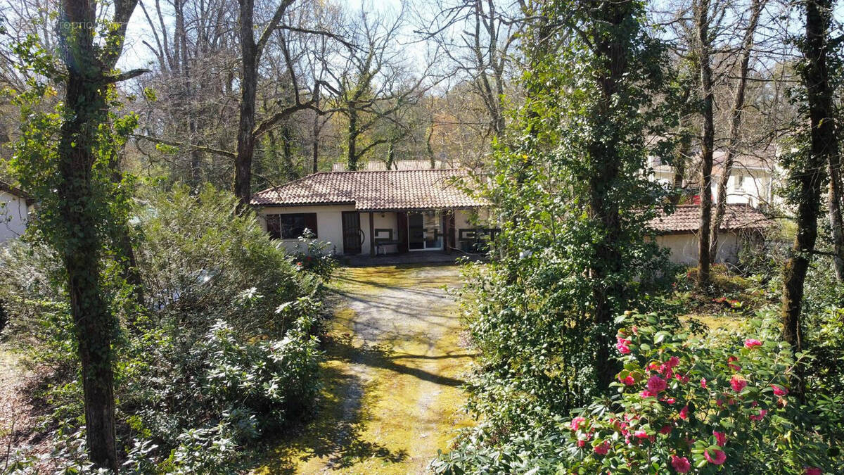 Maison à LE PIAN-MEDOC