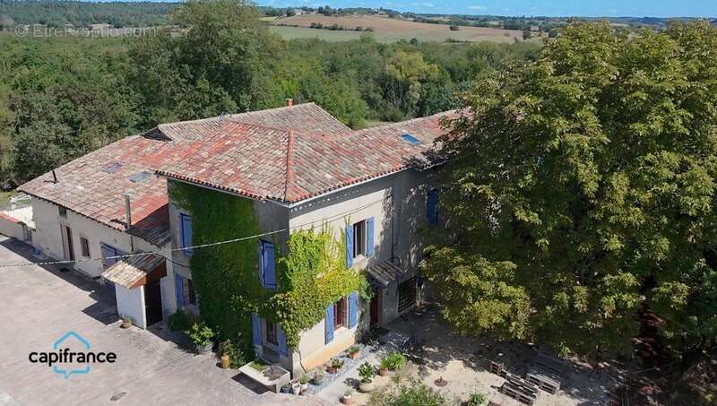 Salvagnac 81, magnifique propriété T9-T10 450 m² (dont 3 Gîtes loués), terrain de 1.6 hectares - photo 2