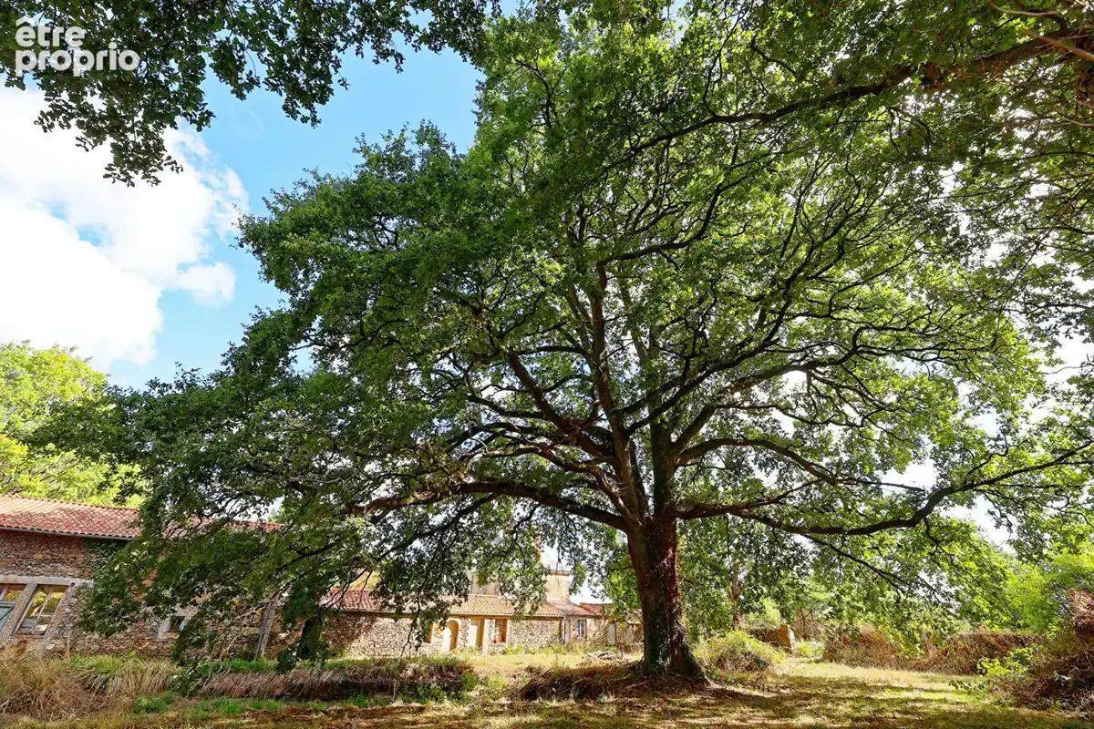 Domaine d'exception à Rocheservière - photo 11