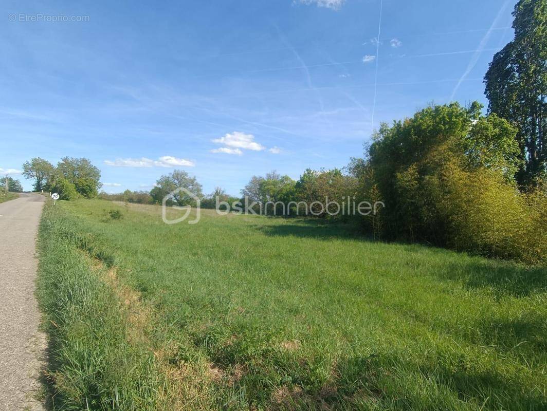 Terrain à LA ROMIEU