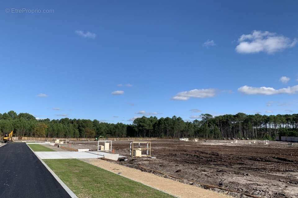 Terrain à LABOUHEYRE