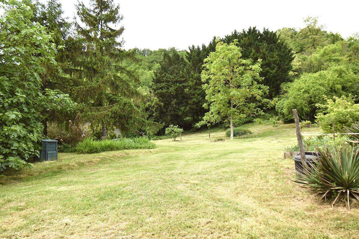 82130, Montastruc, Montauban Nord, Maison plain pied, 160 m², 6 pièces, 3/4 chambres sur 1,5 hA de terrain - photo 5