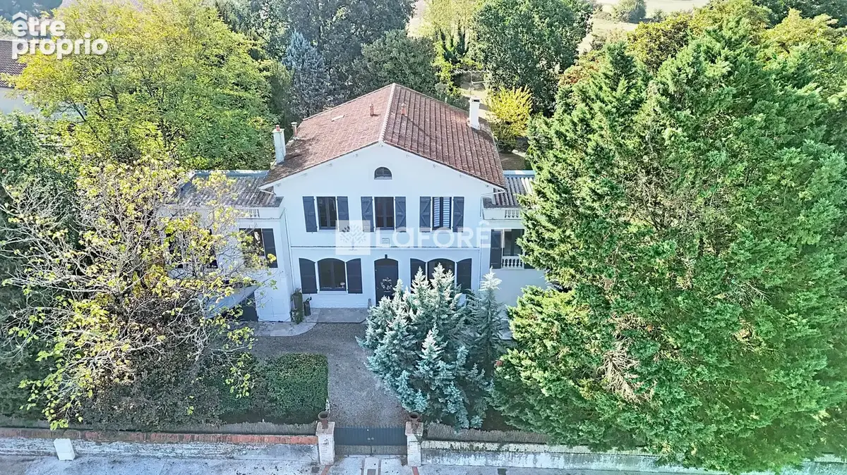 Villeneuve les Bouloc, Maison de Maître de 270 m² ! - photo 1
