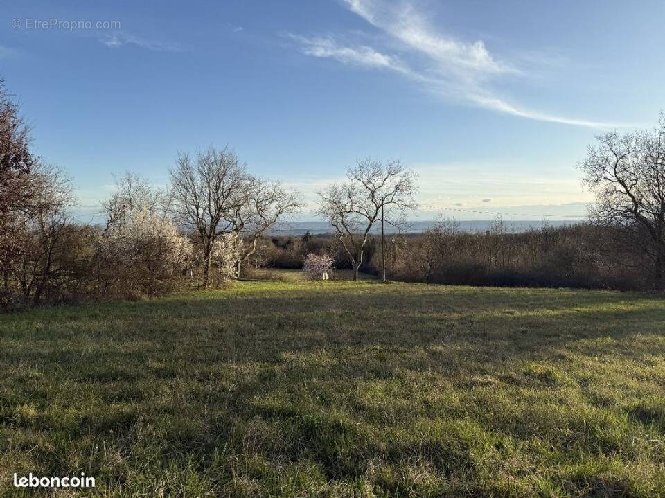 Terrain à LABECEDE-LAURAGAIS