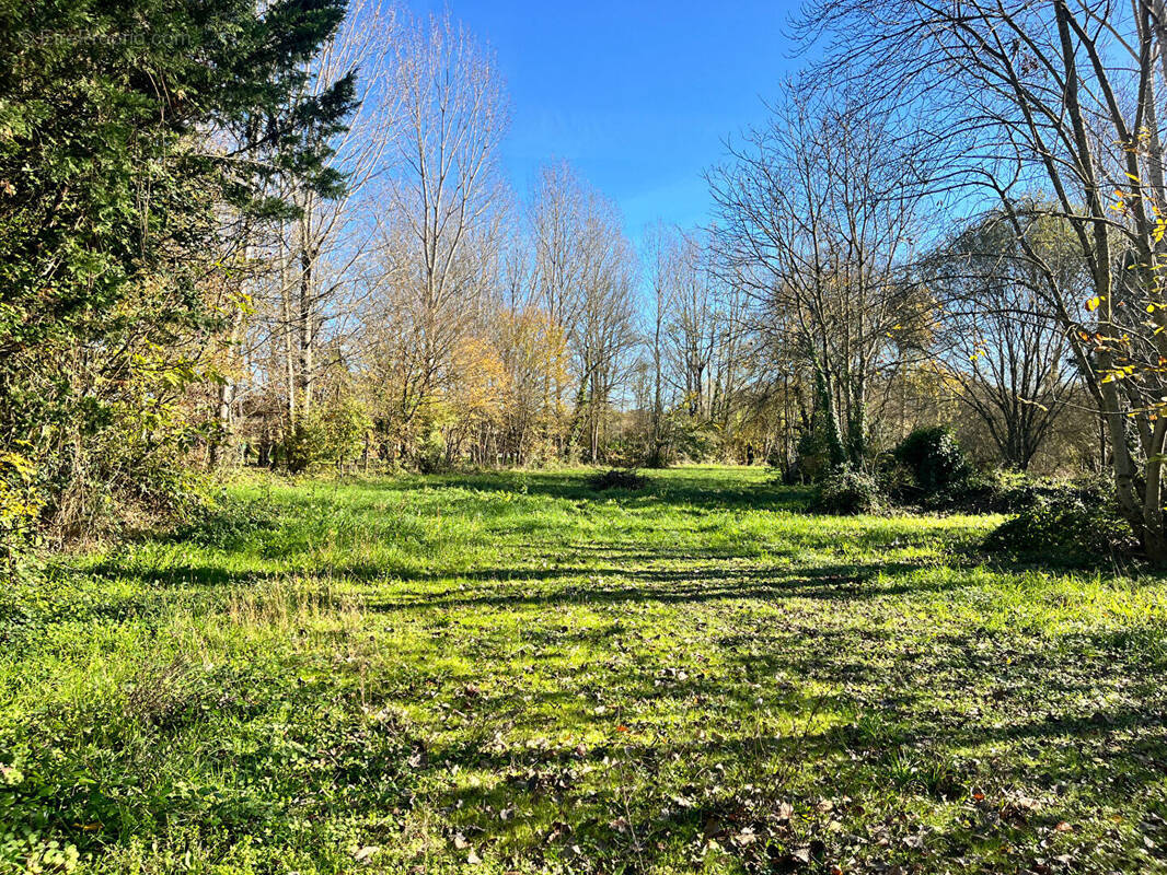 Terrain à VILLEREAL