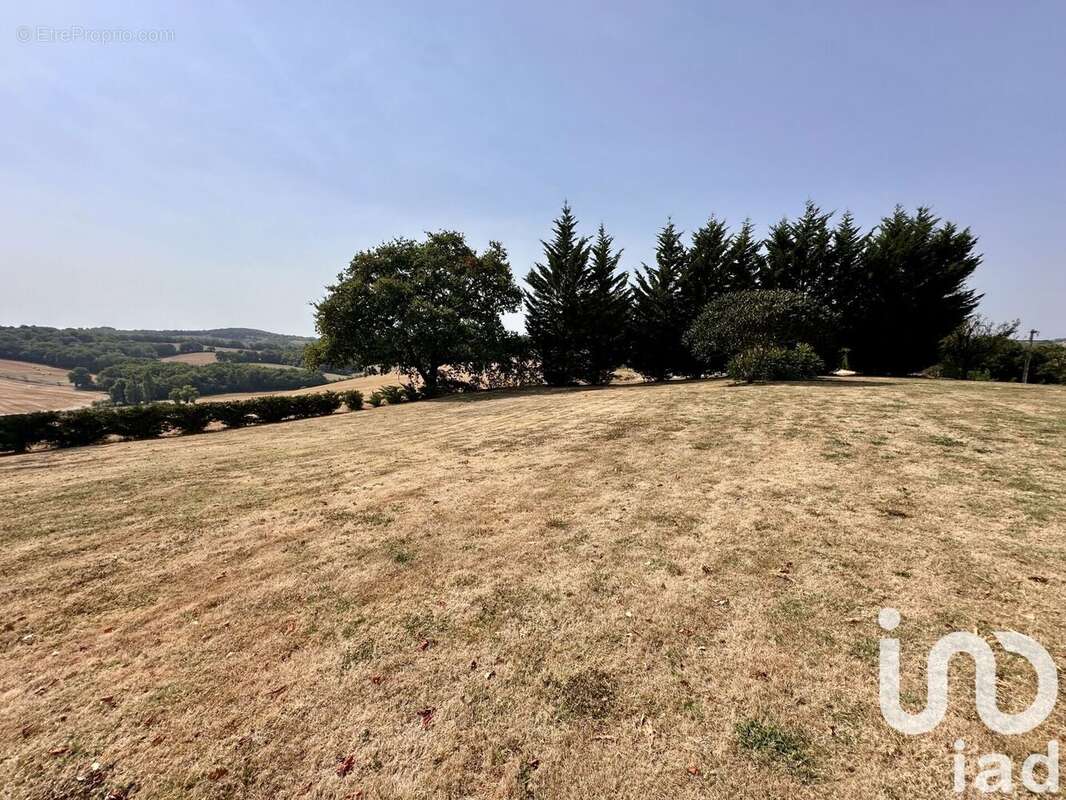 Maison 300 m² à Peyrusse-Vieille  - photo 7