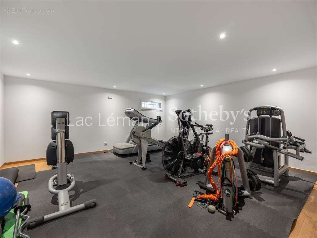 Maison à CHENS-SUR-LEMAN