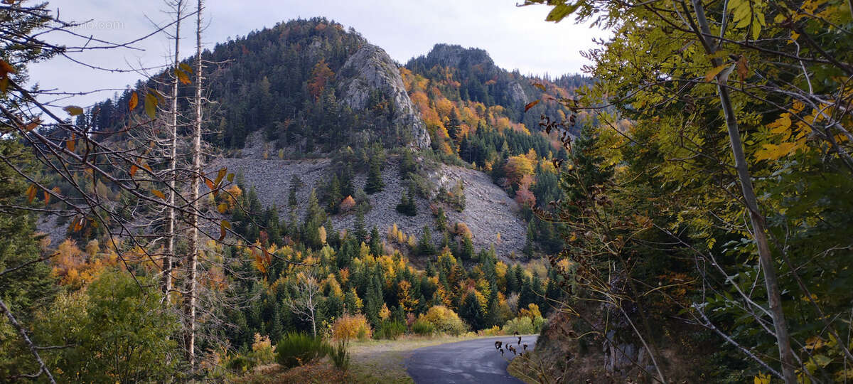 Maison à SAINT-ANDEOL-DE-FOURCHADES