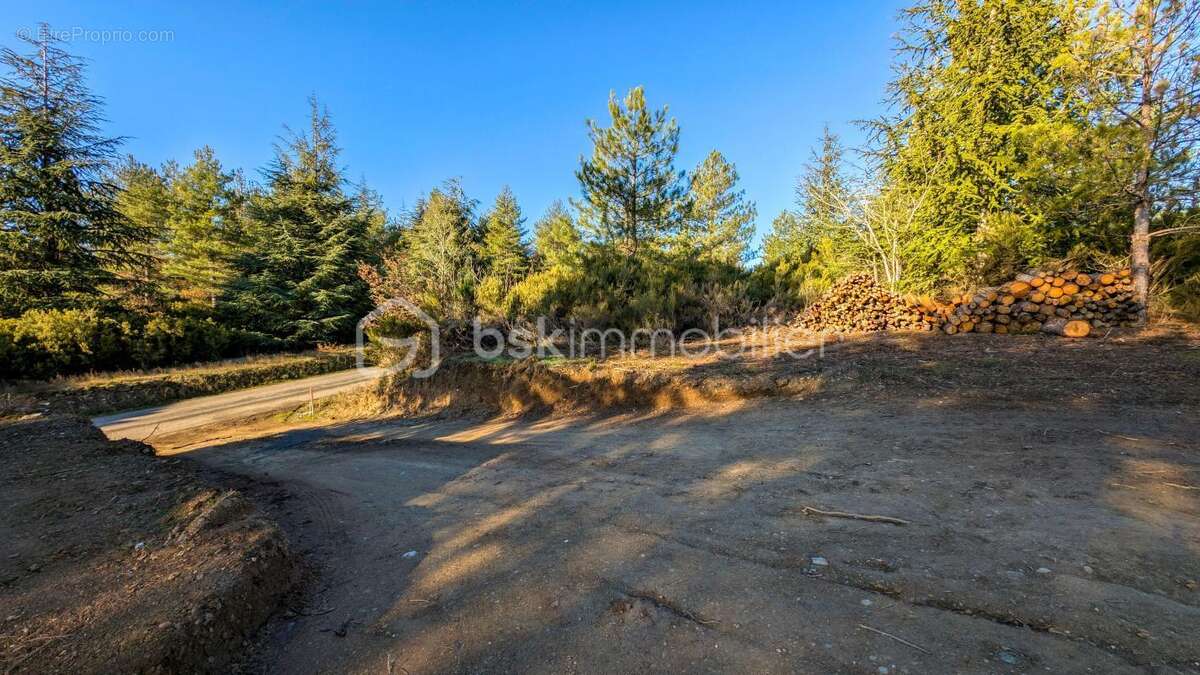 Terrain de 8 000 m² dont 3 700 m² constructibles, avec vue dégagée - photo 12