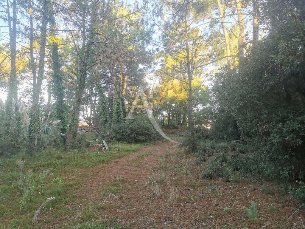 Terrain Saint Jean De Monts - photo 2