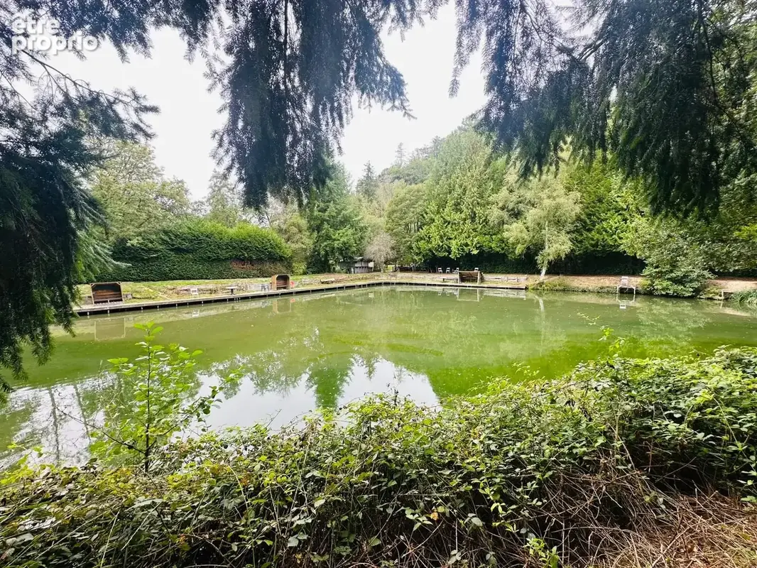 Maison 8 pièces 310 m² à vendre à Sens-De-Bretagne (35490) - photo 4