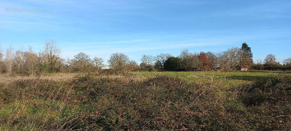 Terrain à SAINT-LAURENT-DES-HOMMES