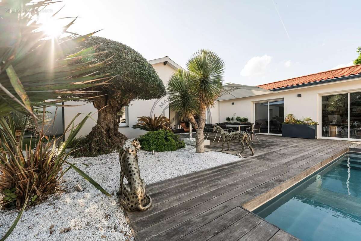 Maison à TOURNEFEUILLE