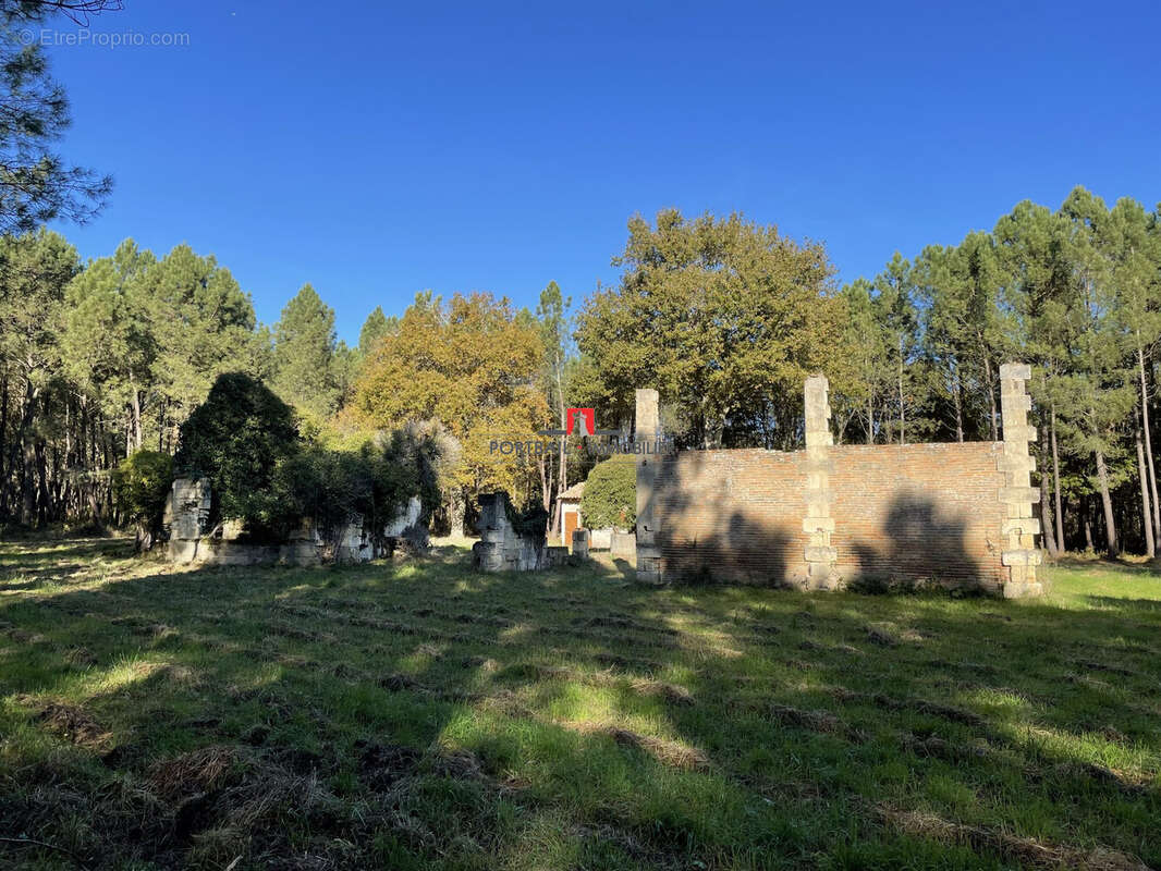 Terrain à SAINT-ANDRE-DE-CUBZAC