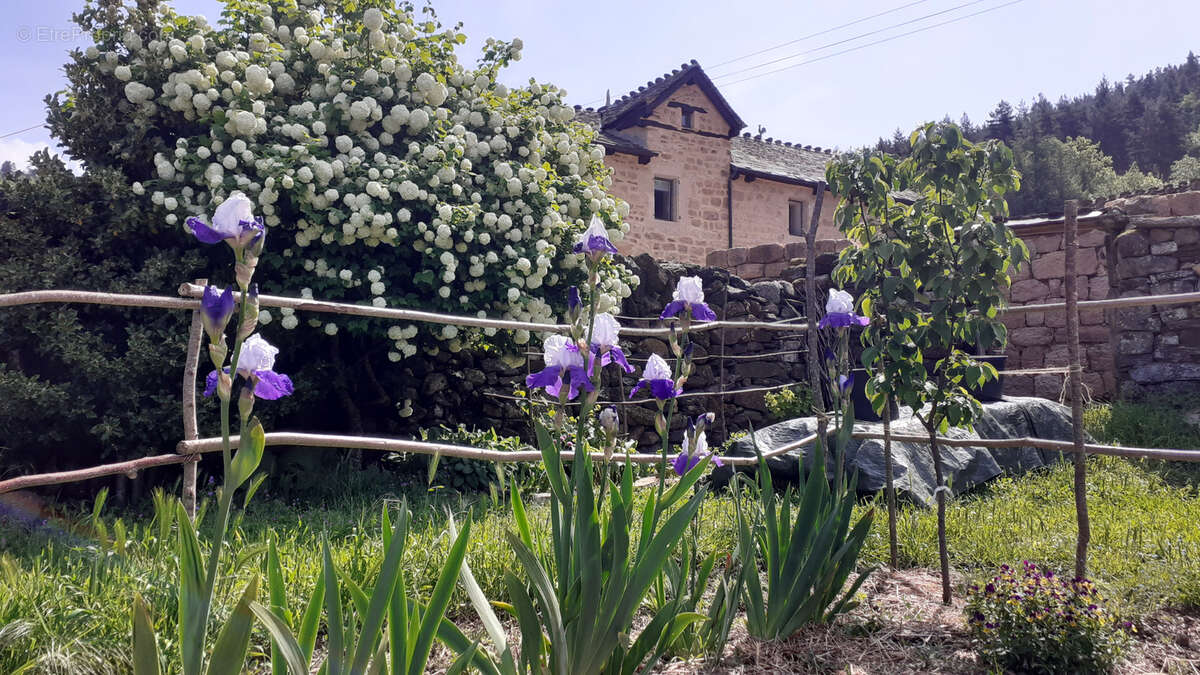 Maison à LANUEJOLS