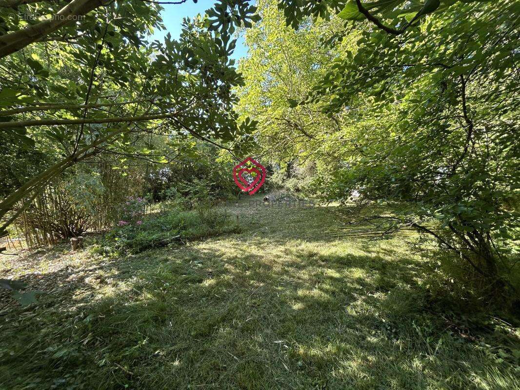 Villa de caractère à rénover avec parc de 4 779 m² et vue imprenable sur les Pyrénées - photo 4