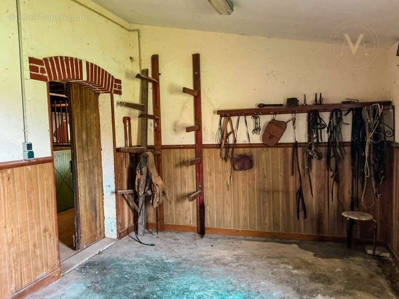Domaine équestre d’exception sur 40 hectares — Authenticité, nature et passion proche de Penne d’Agenais (47) - photo 13