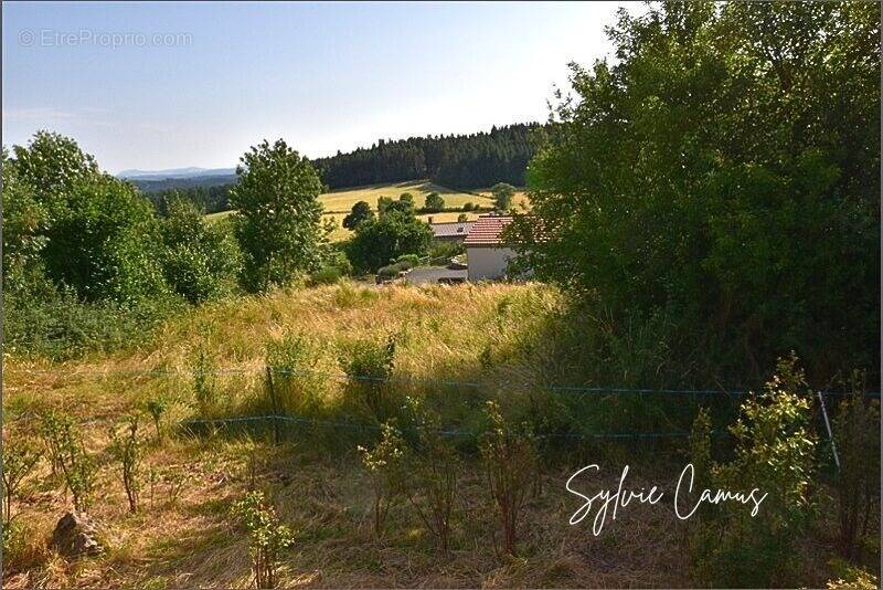 Terrain à SAINT-PAL-DE-MONS