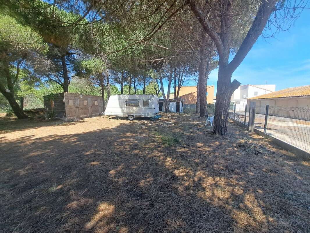 Terrain à MARSEILLAN