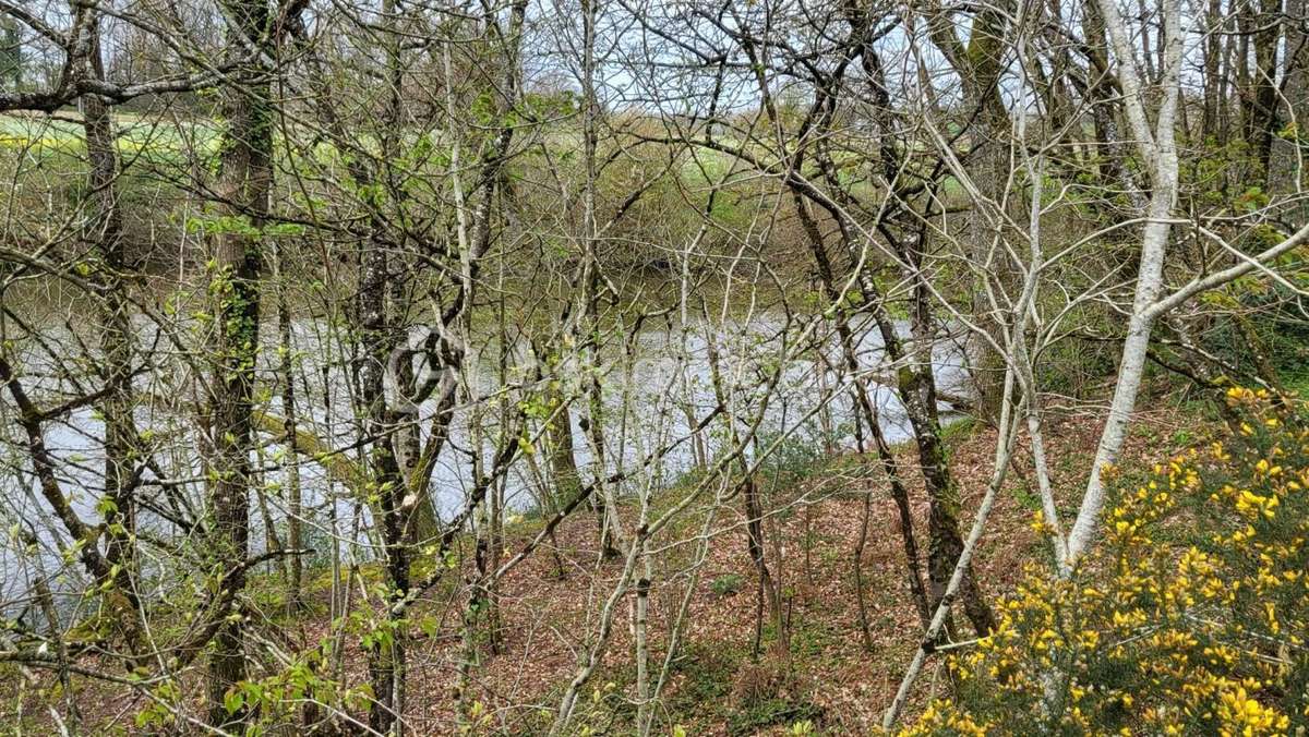 Terrain à LA CHAPELLE-AU-RIBOUL