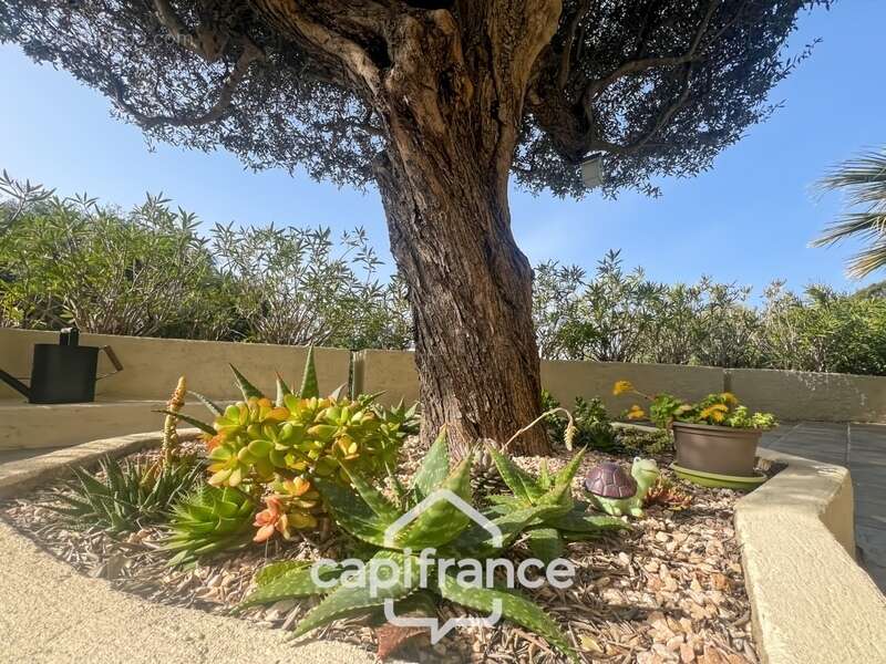 Maison à LE LAVANDOU