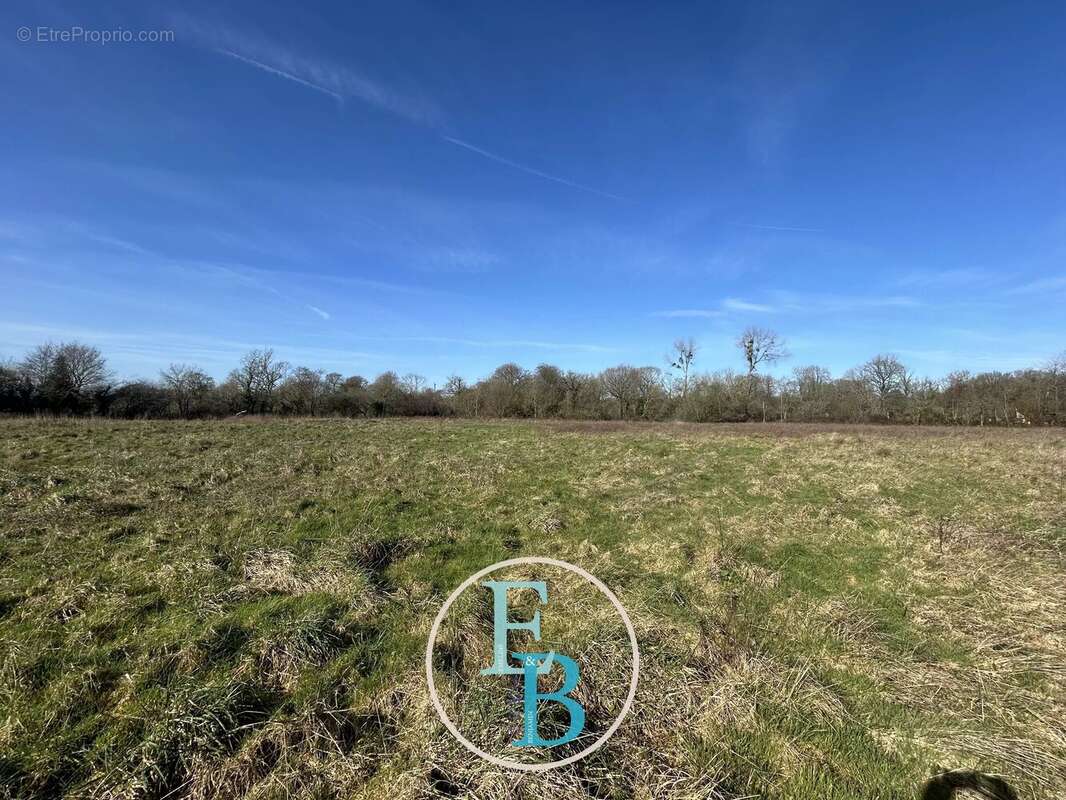 Terrain à VALOGNES