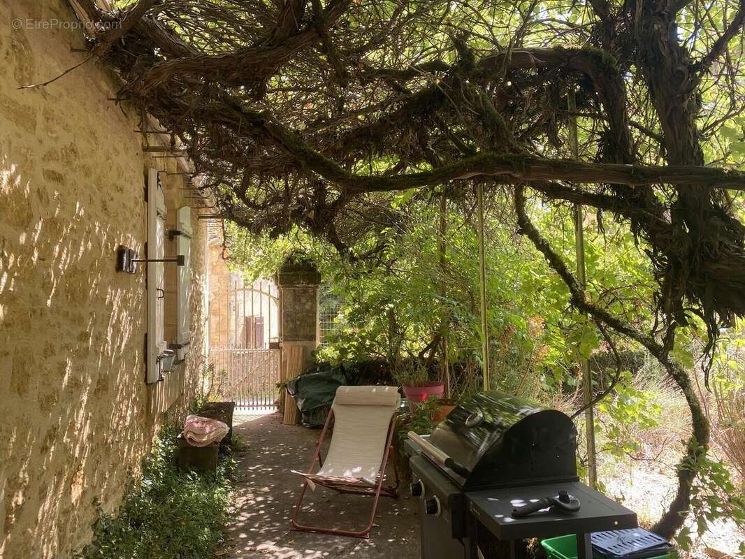 IMG8402 2 - Maison à BEYNAC-ET-CAZENAC