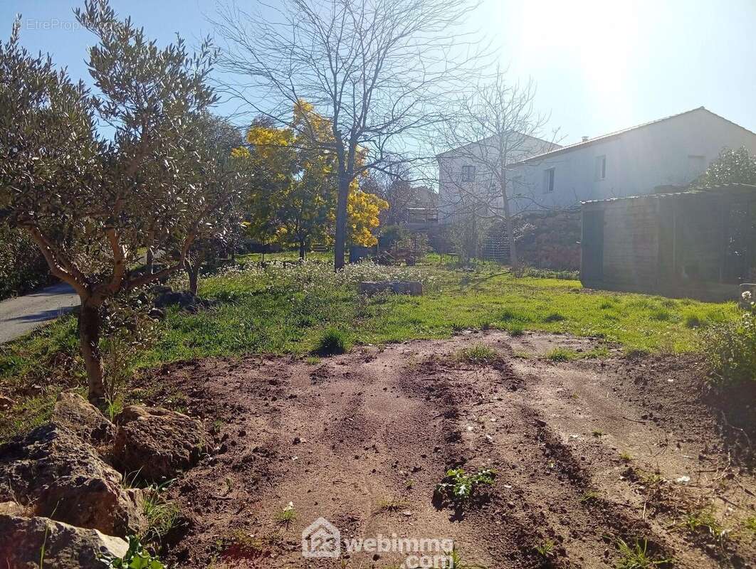 Terrain à LE THORONET