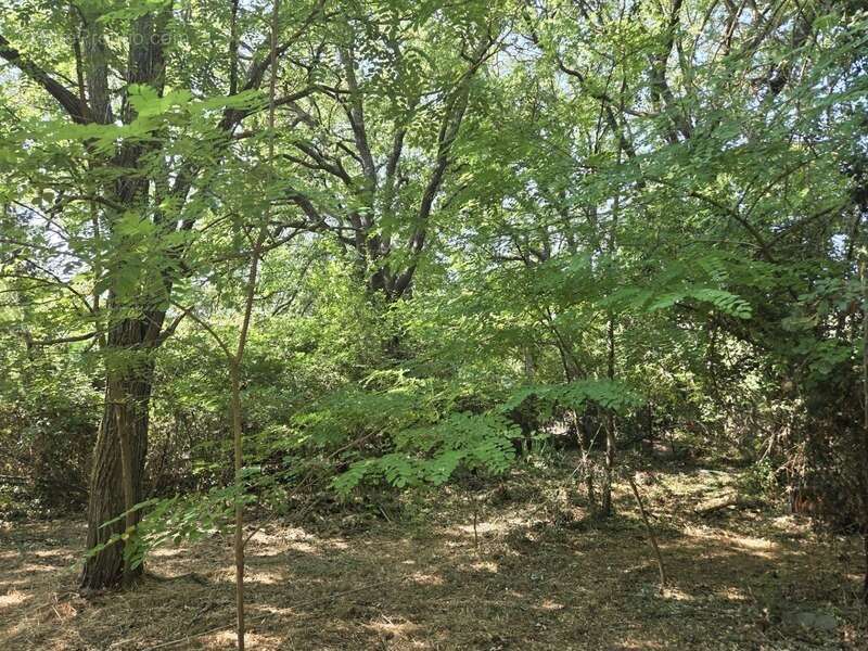 AIX Sud - Cabriès - Vente Grande Villa T4 de 200 M2 plein sud, à rénover, sur 1900M2 de terrain, emplacement de premier choix au - photo 9