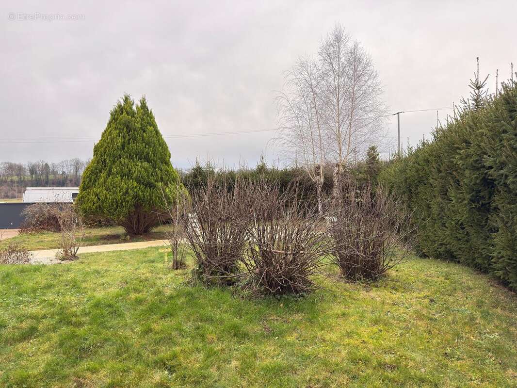 Photo 9 - Maison à RIOZ