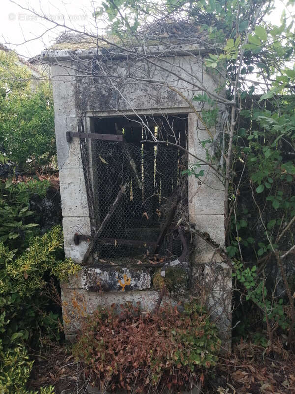 Ancienne ferme, grange, cave, garage, vue - photo 16