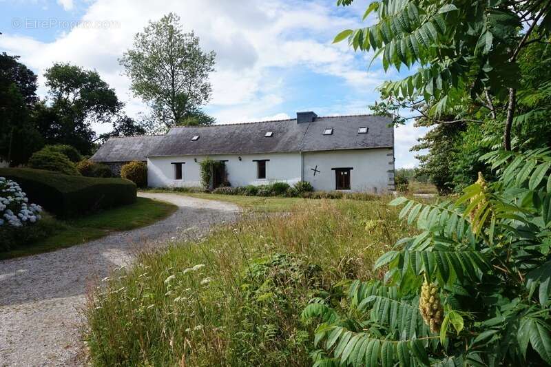 Maison à PLONEVEZ-DU-FAOU