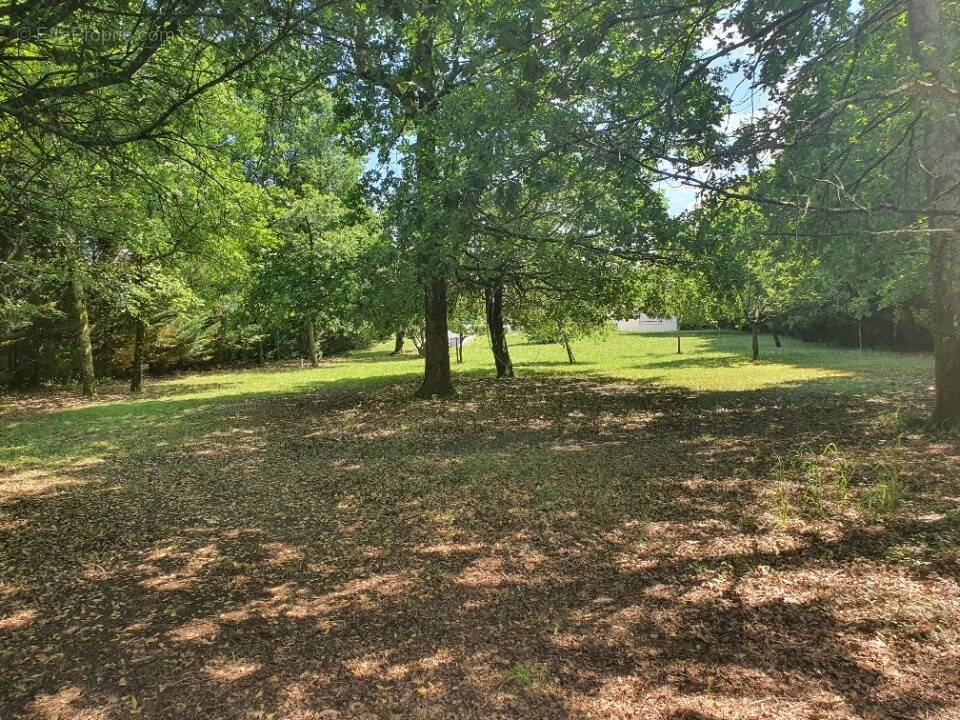 Terrain à SAINT-JEAN-D'ILLAC