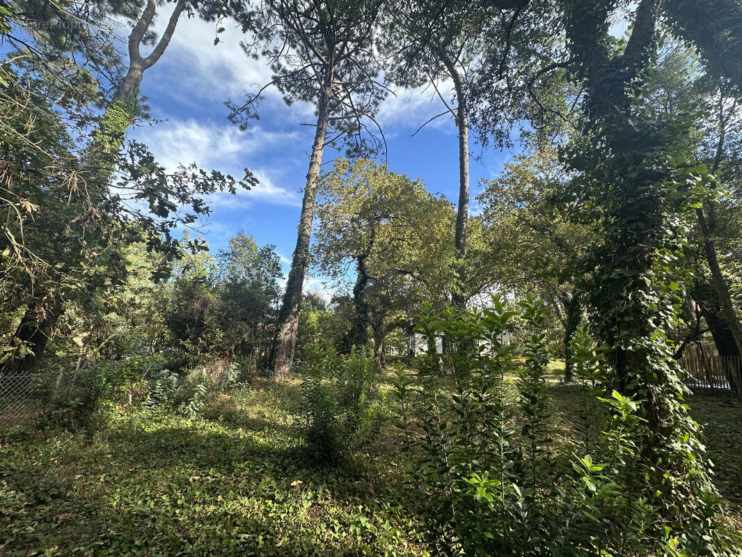 Terrain à CAPBRETON