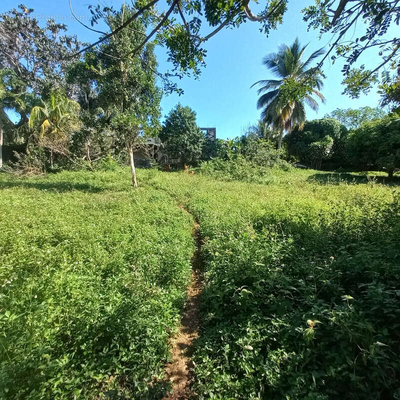 Maison à PETIT-BOURG