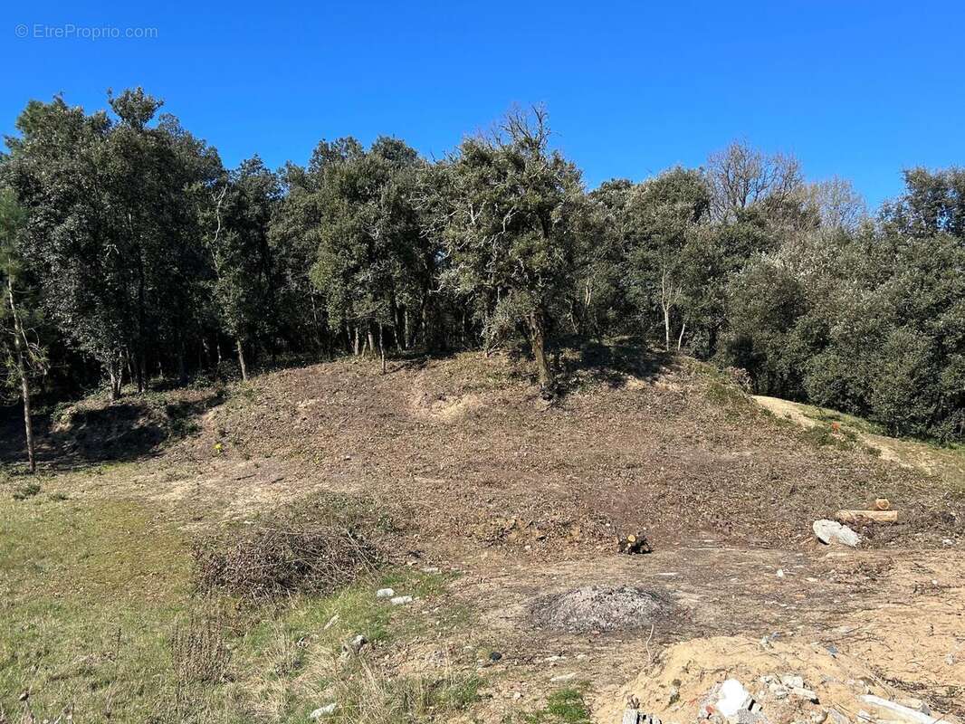 Photo 2 - Terrain à LONGEVILLE-SUR-MER