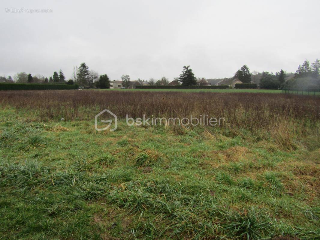 Terrain à VILLEBOUGIS