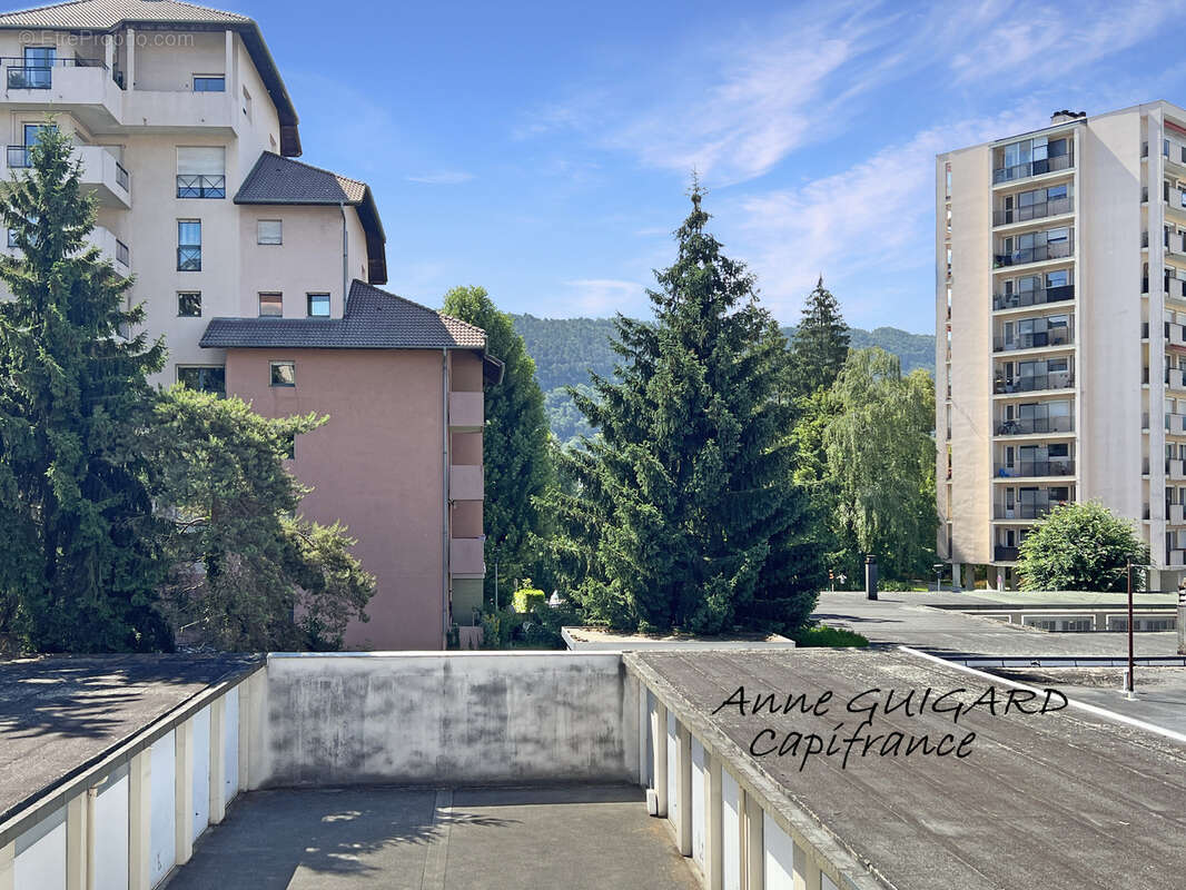 ANNECY (74) - Appartement 4 PIECES de 107m² de style Belle époque avec garage, cave et greniers - photo 6