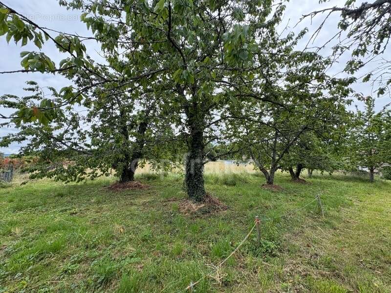 proche d' AMBERT (63) CORPS DE FERME en pierre renové  avec sa grange indépendante  TERRAIN de 1209 M2 - photo 5