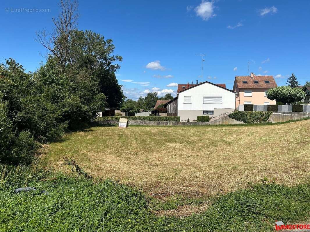 Terrain à MICHELBACH-LE-HAUT