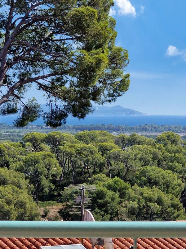 T4 hyeres traversant terrasse vue mer - photo 2