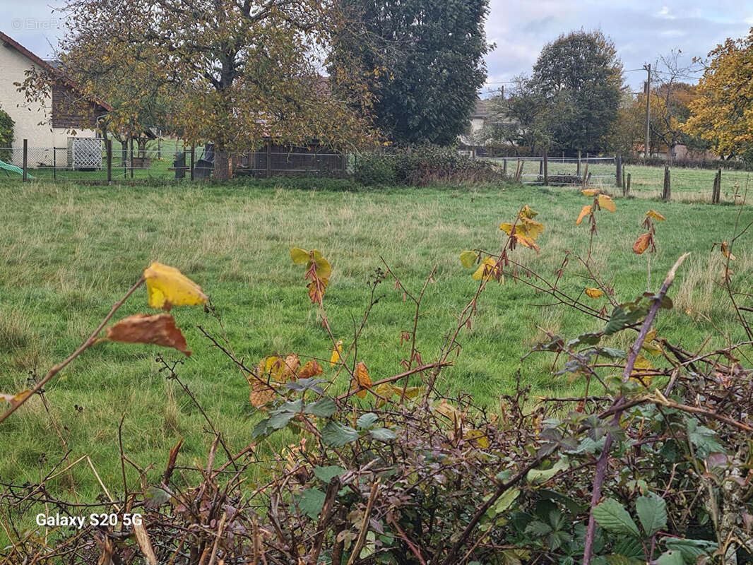 Terrain constructible st jacques d'ambur - photo 5