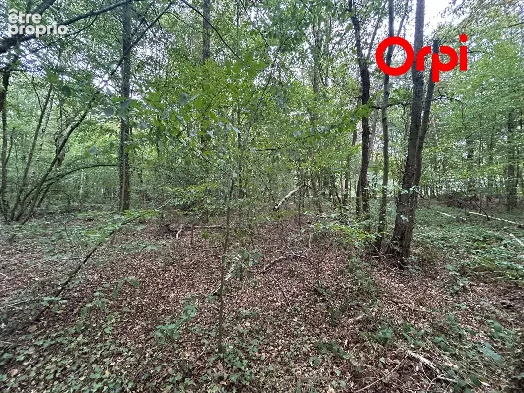 Terrain 7300 m² - photo 3