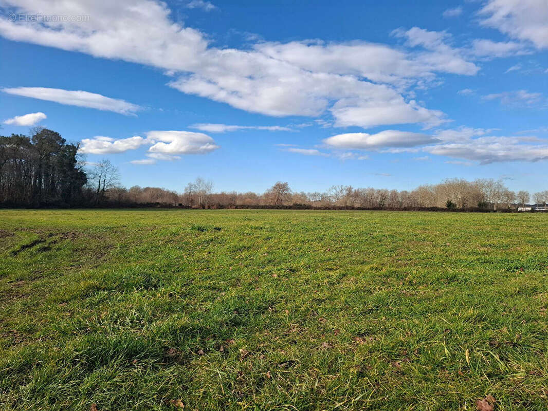 Terrain à SAINTE-MARIE-DE-GOSSE