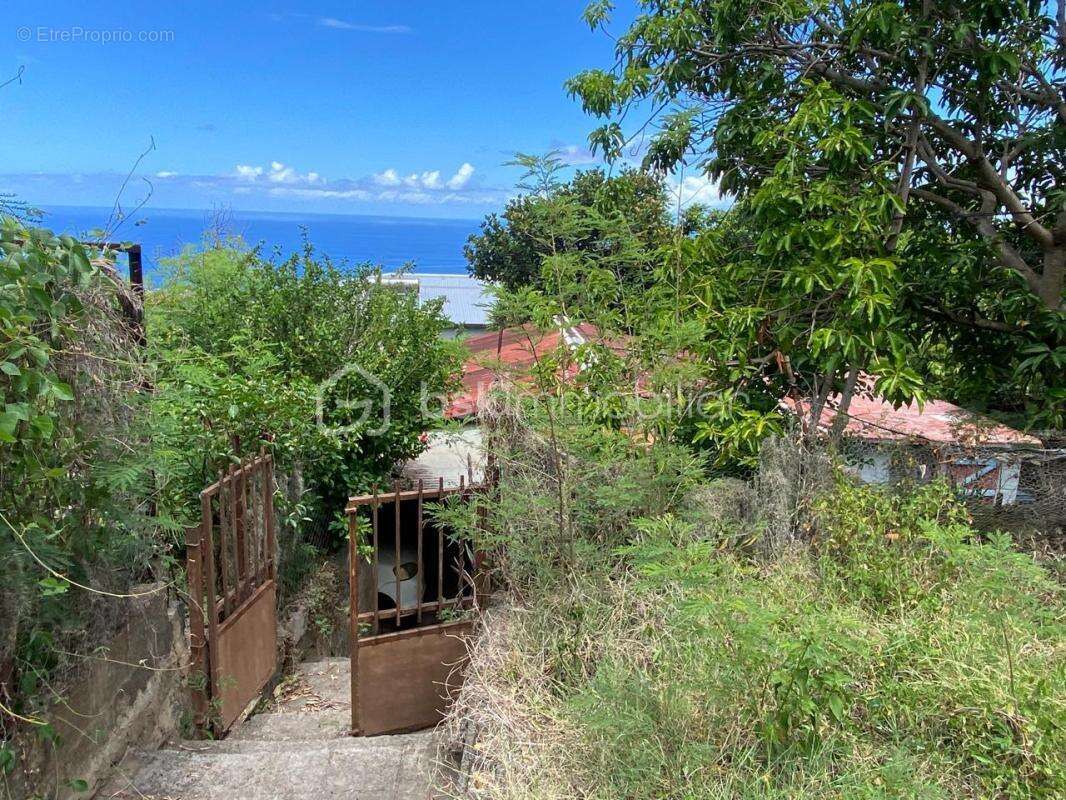 Terrain à SAINT-LEU