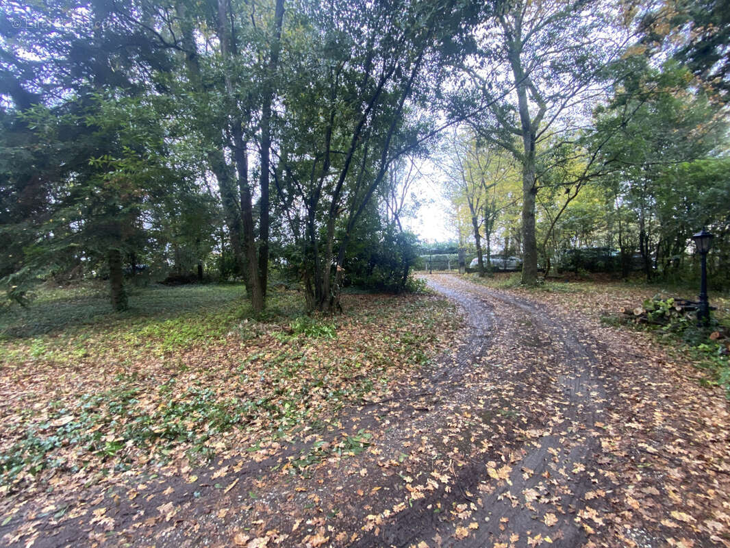 Terrain à CARIGNAN-DE-BORDEAUX