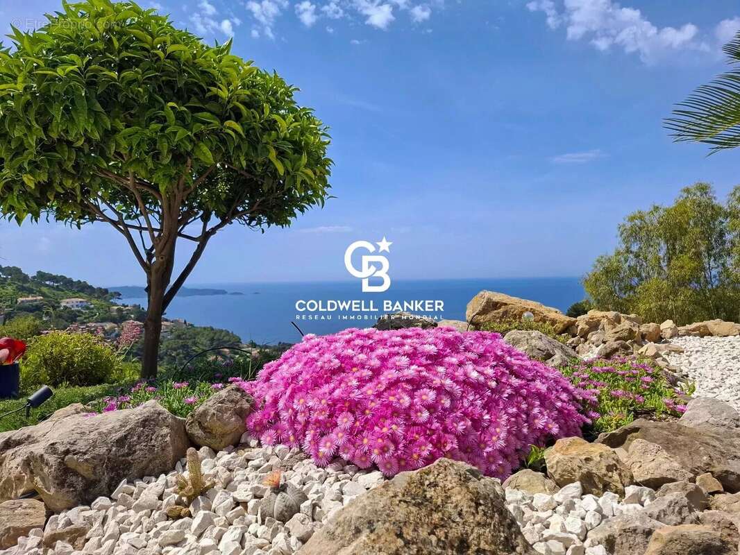 Maison à CARQUEIRANNE