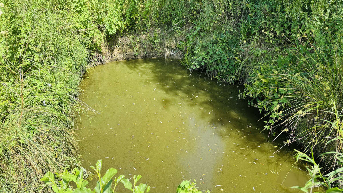 Terrain à CHATEAUDUN