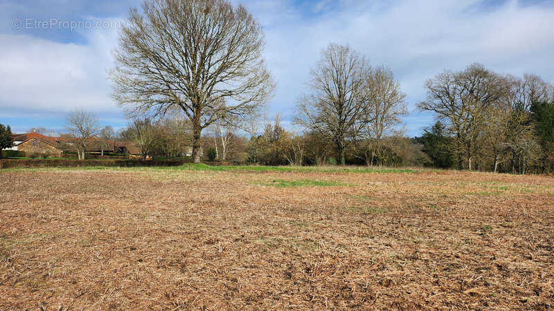 Terrain à SAINT-JUNIEN