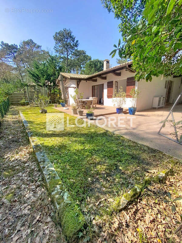 Maison GAUME  PYLA SUR MER 4 pièce(s) 82 m2 - photo 13